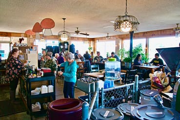 The Green Salmon Coffee Company