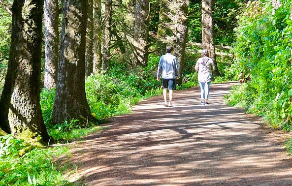 Heceta Lighthouse Trail